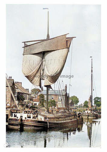 Ptc1984 yorks sailing - yorks.,
