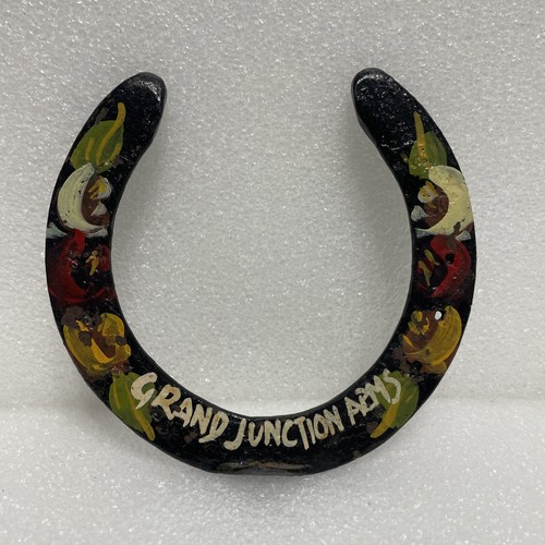 Horseshoe hand painted canal - hand,